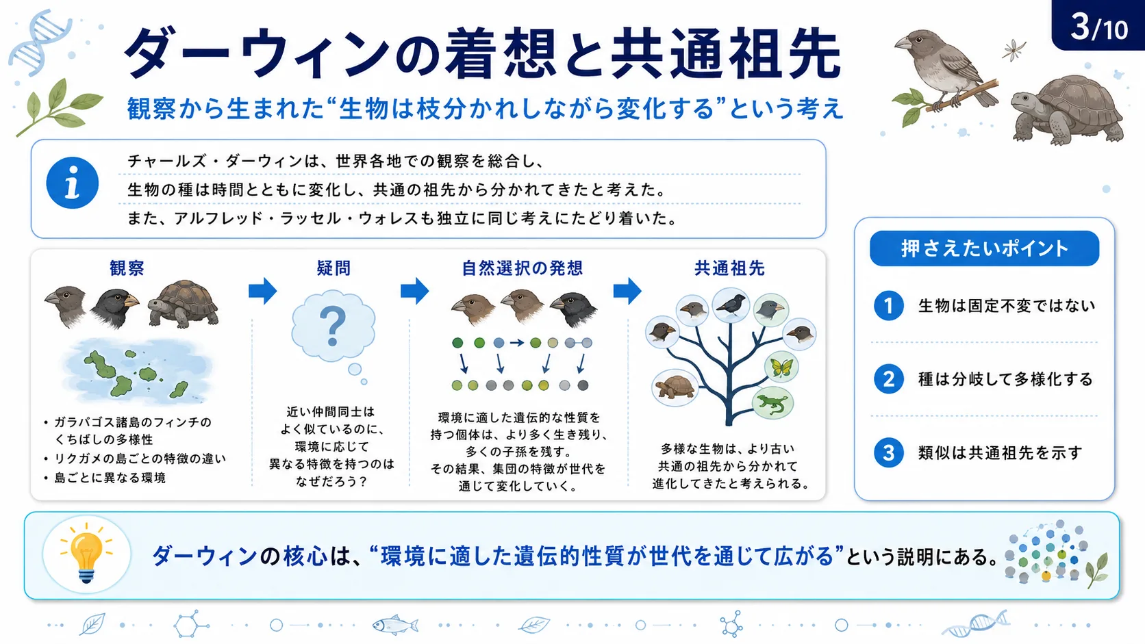 ダーウィンの着想と共通祖先
