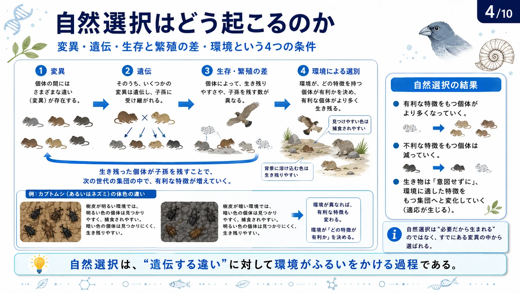 自然選択はどう起こるのか