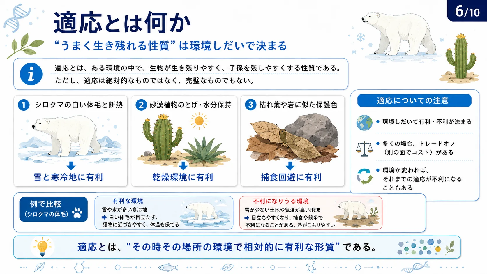 適応とは何か