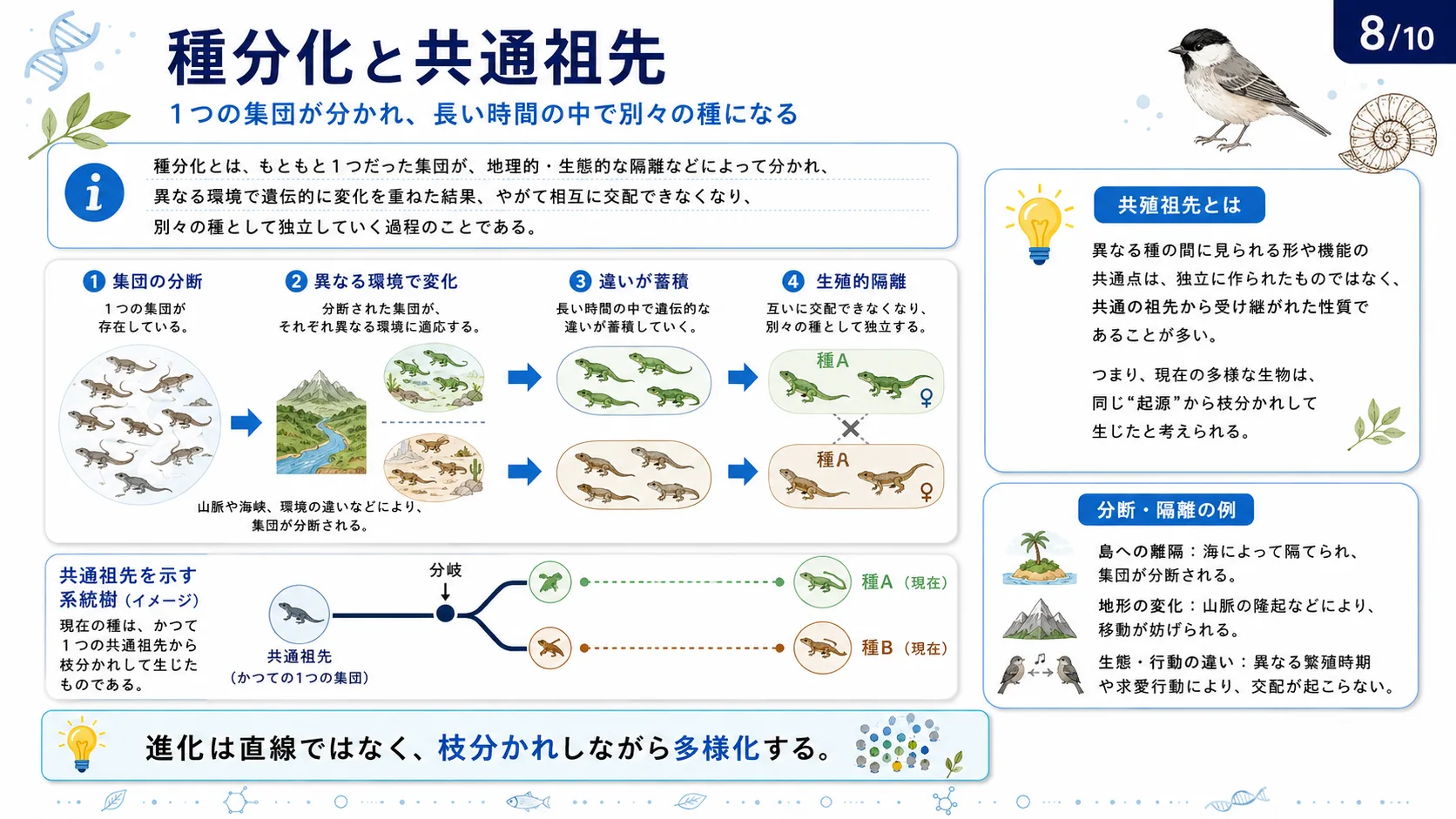 種分化と共通祖先