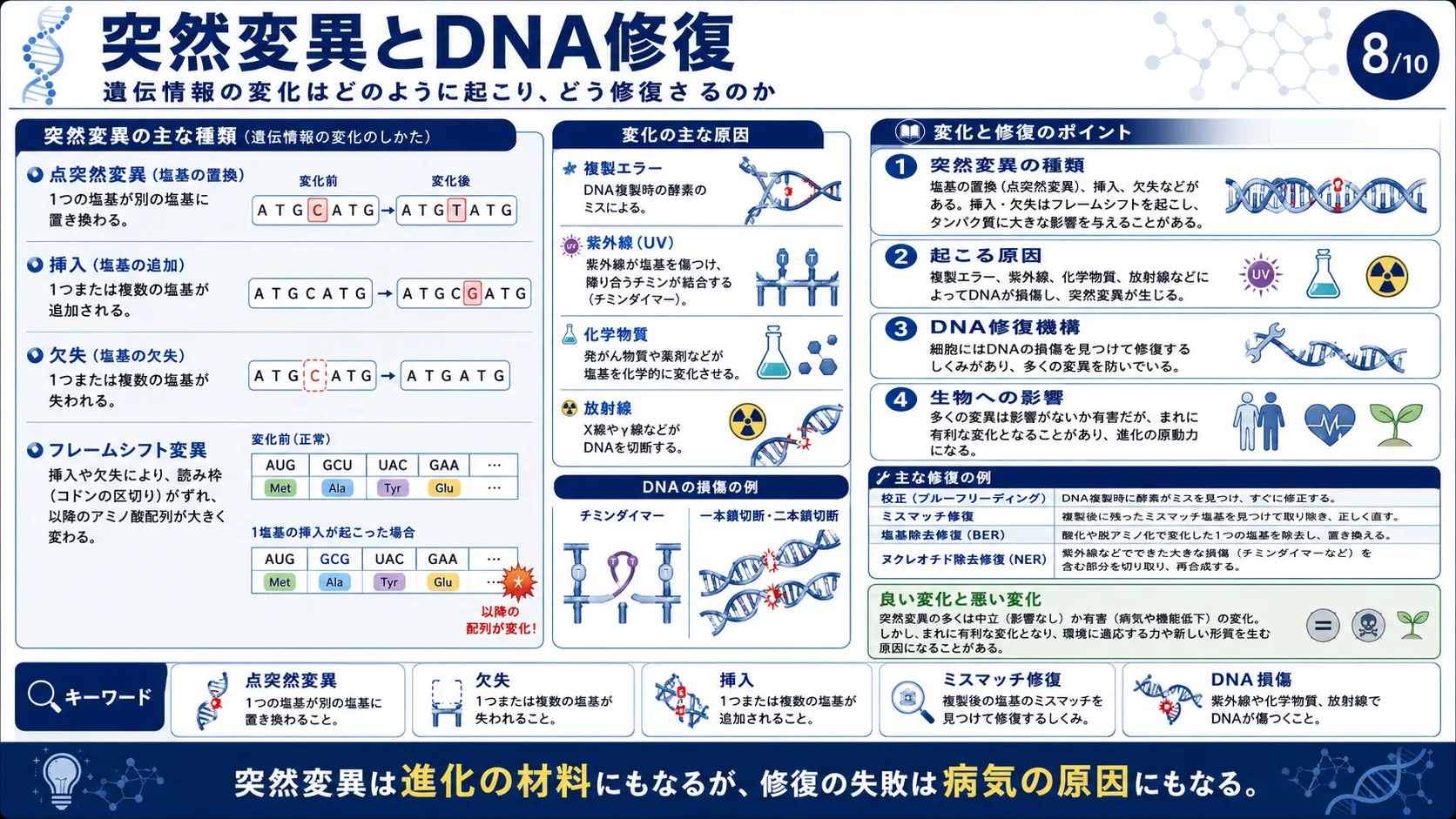 突然変異とDNA修復