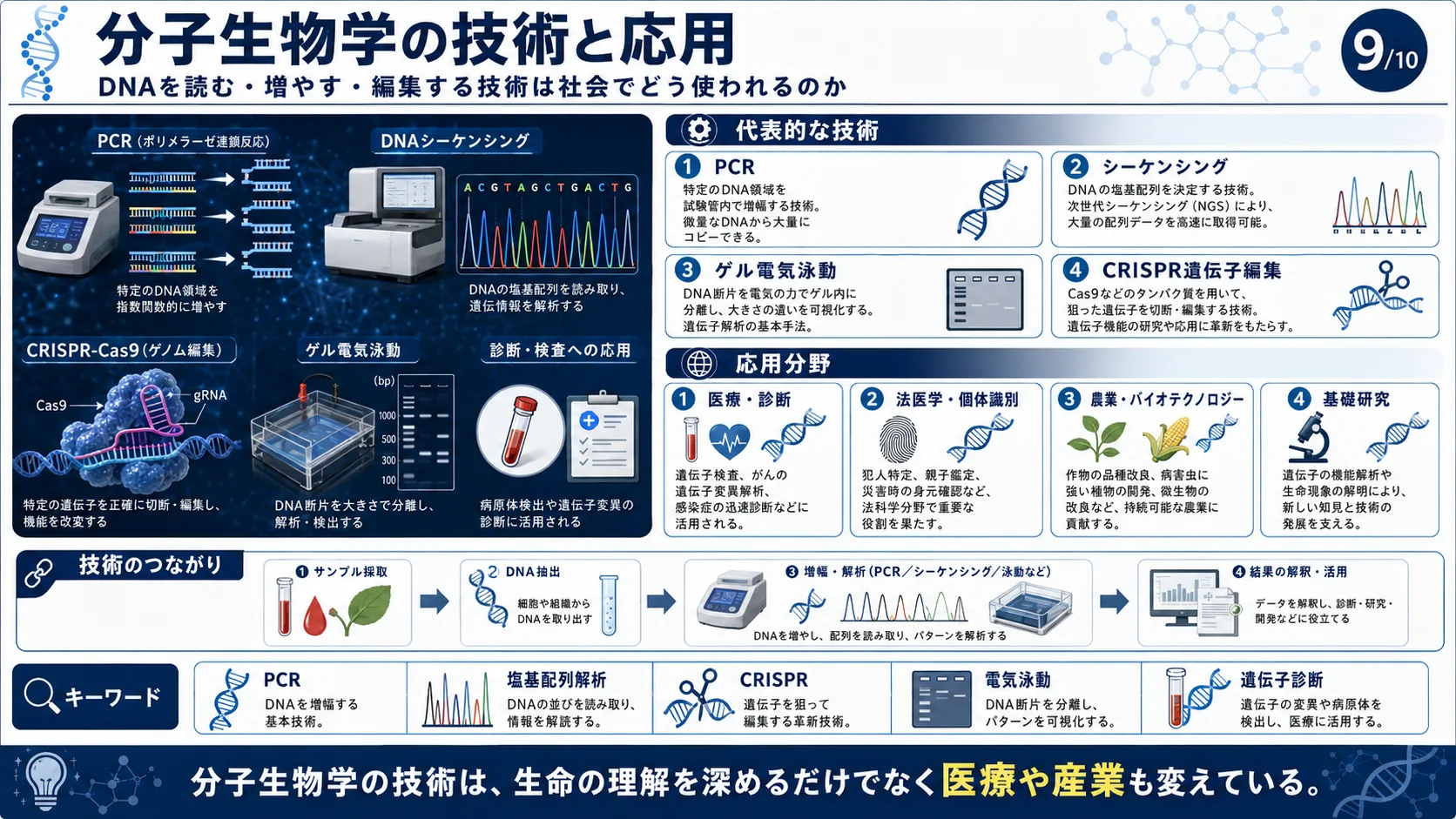 分子生物学の技術と応用
