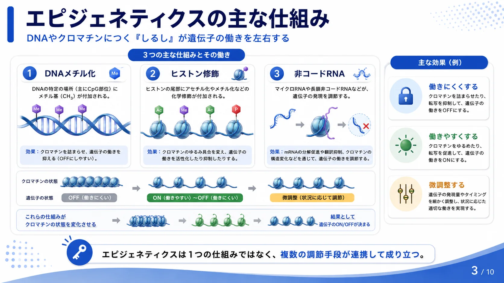 エピジェネティクスの主な仕組み