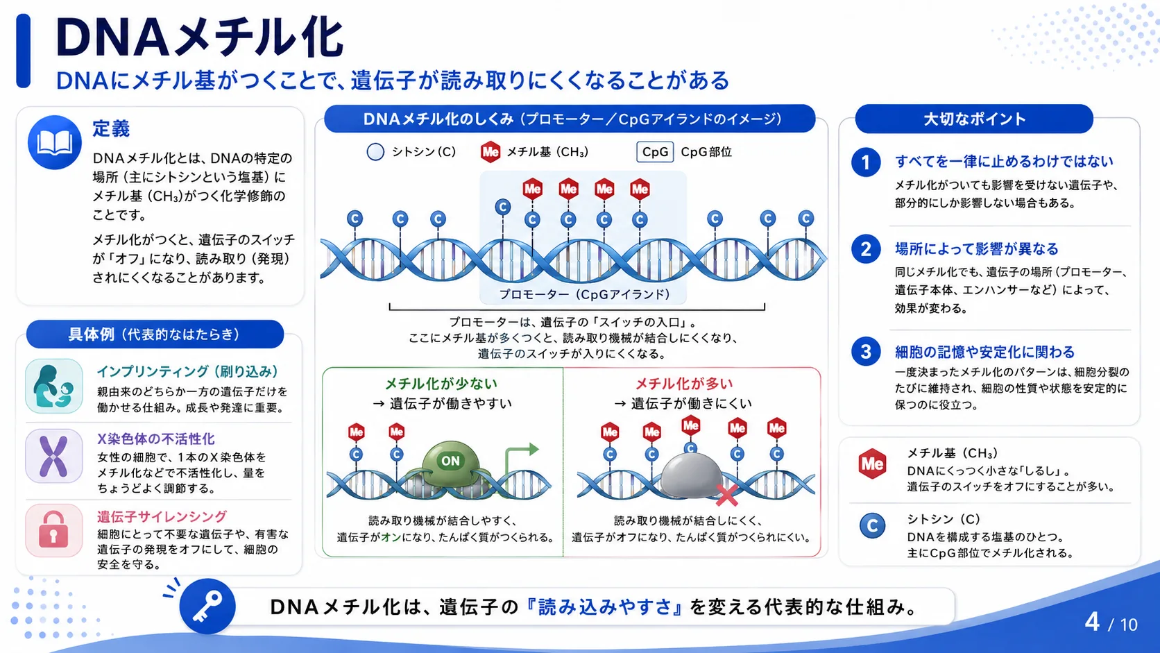 DNAメチル化