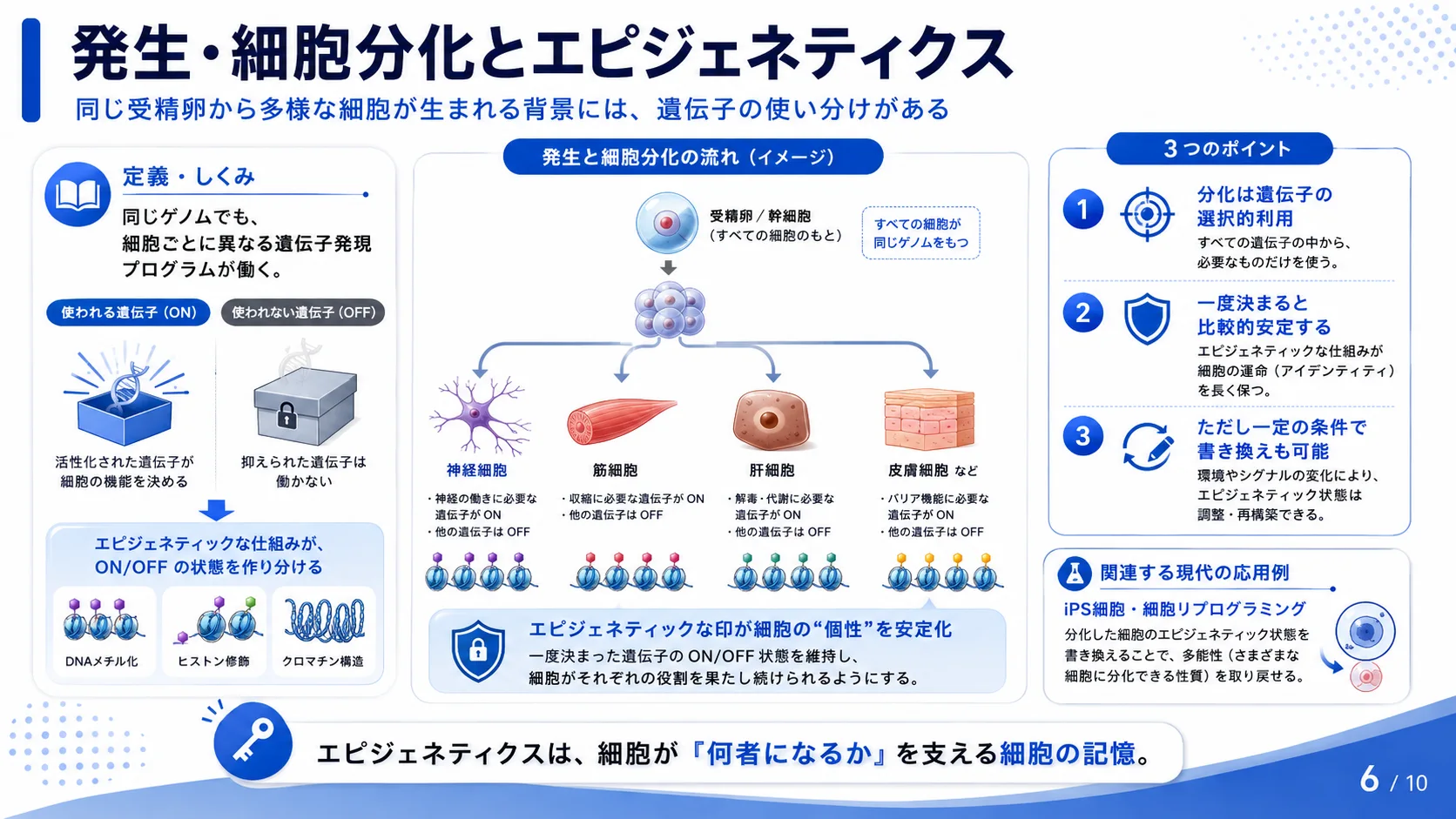 発生・細胞分化とエピジェネティクス