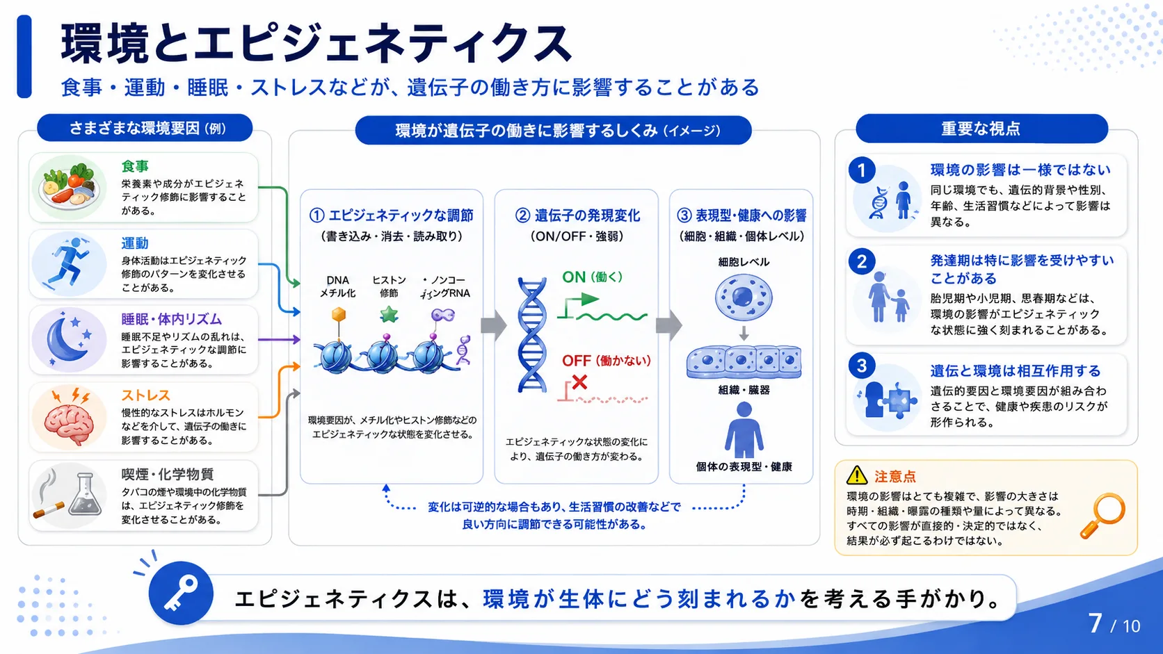 環境とエピジェネティクス