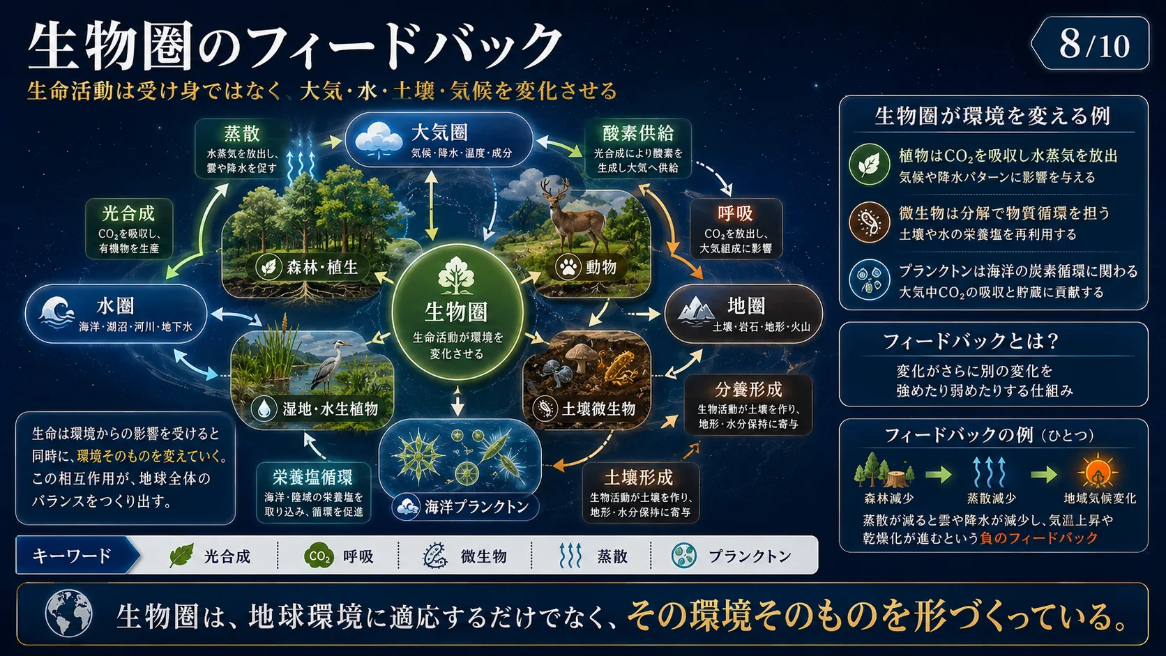 生物圏のフィードバック