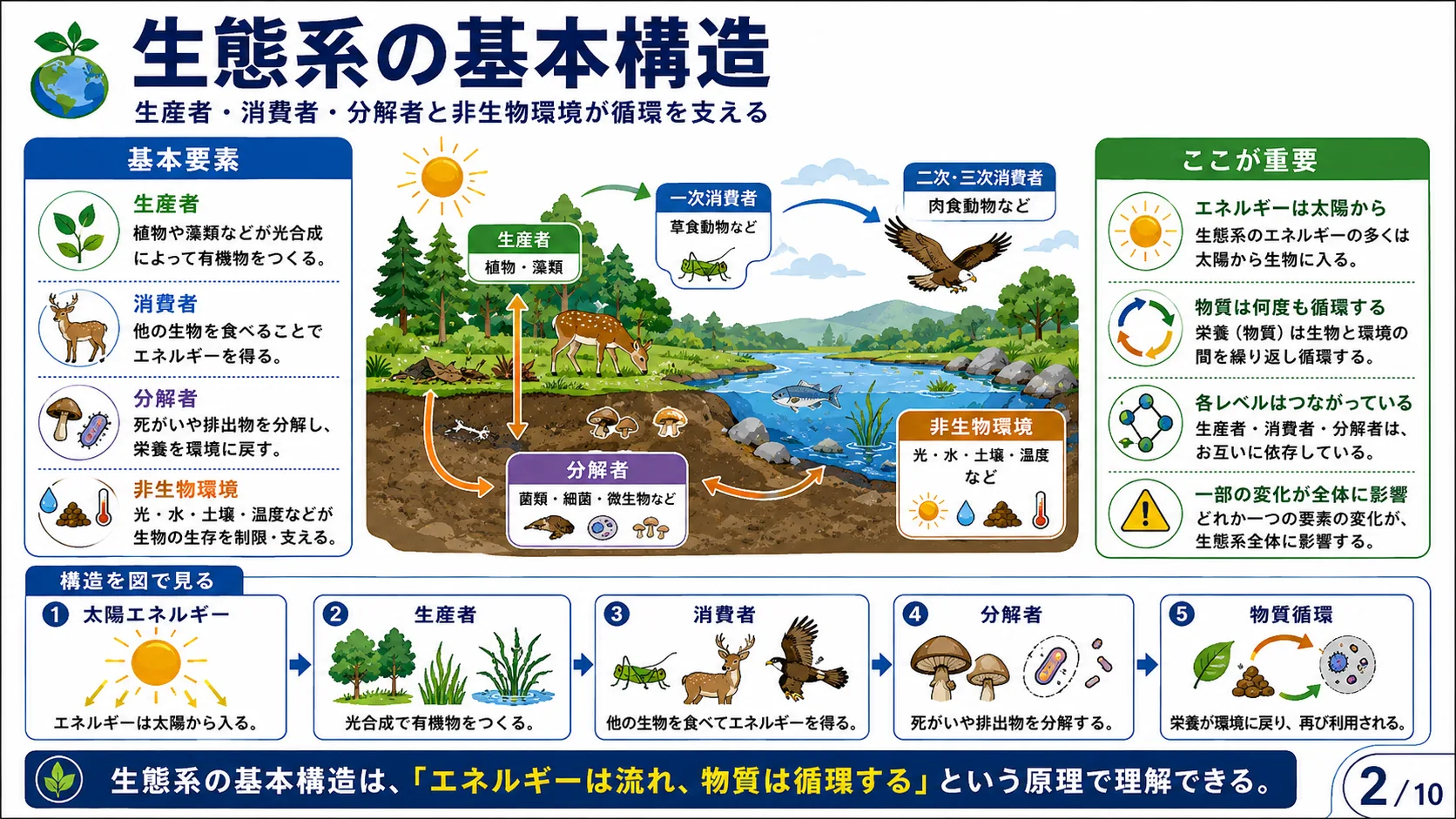 生態系とは何か