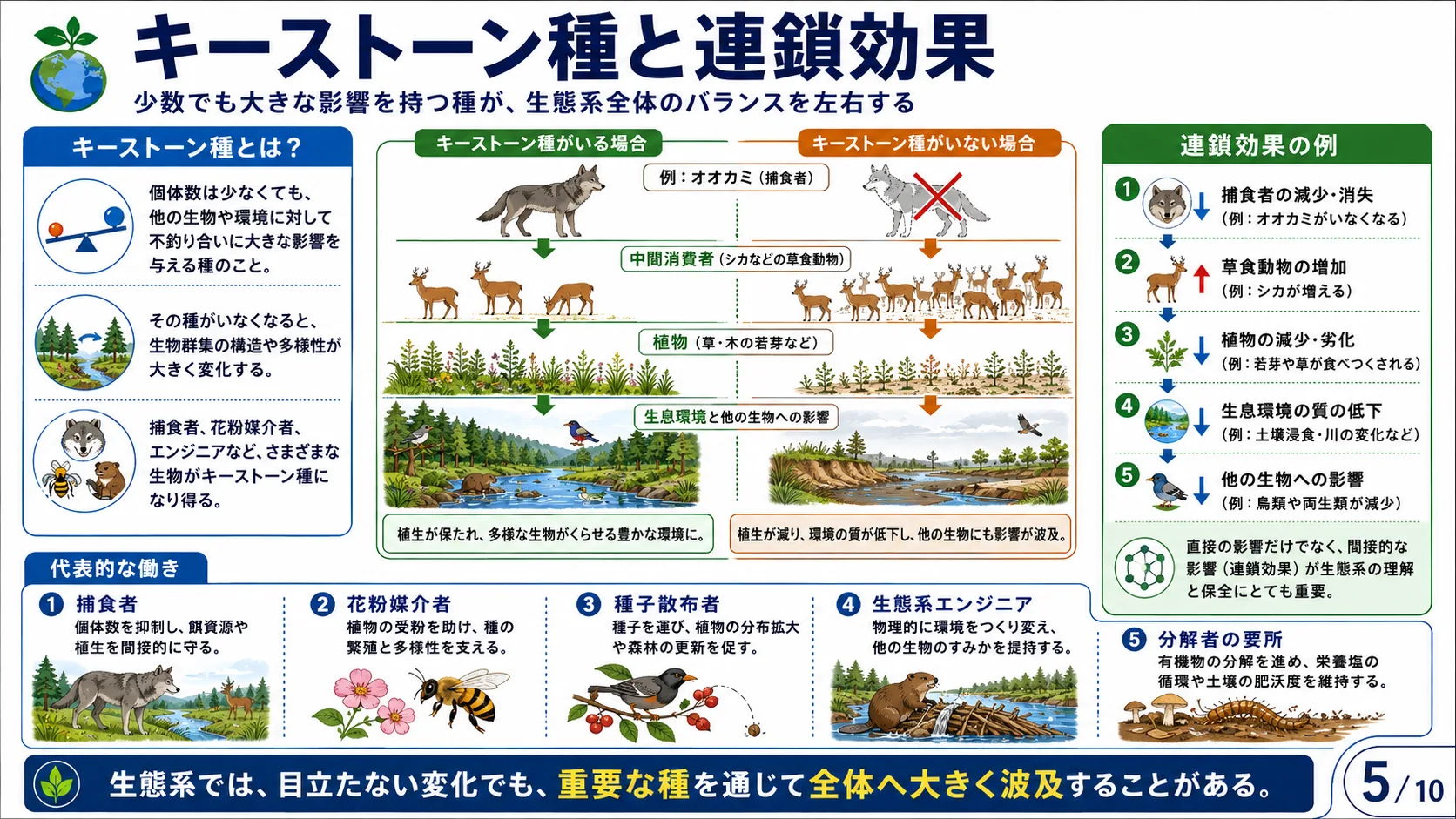 生物多様性の3つのレベル