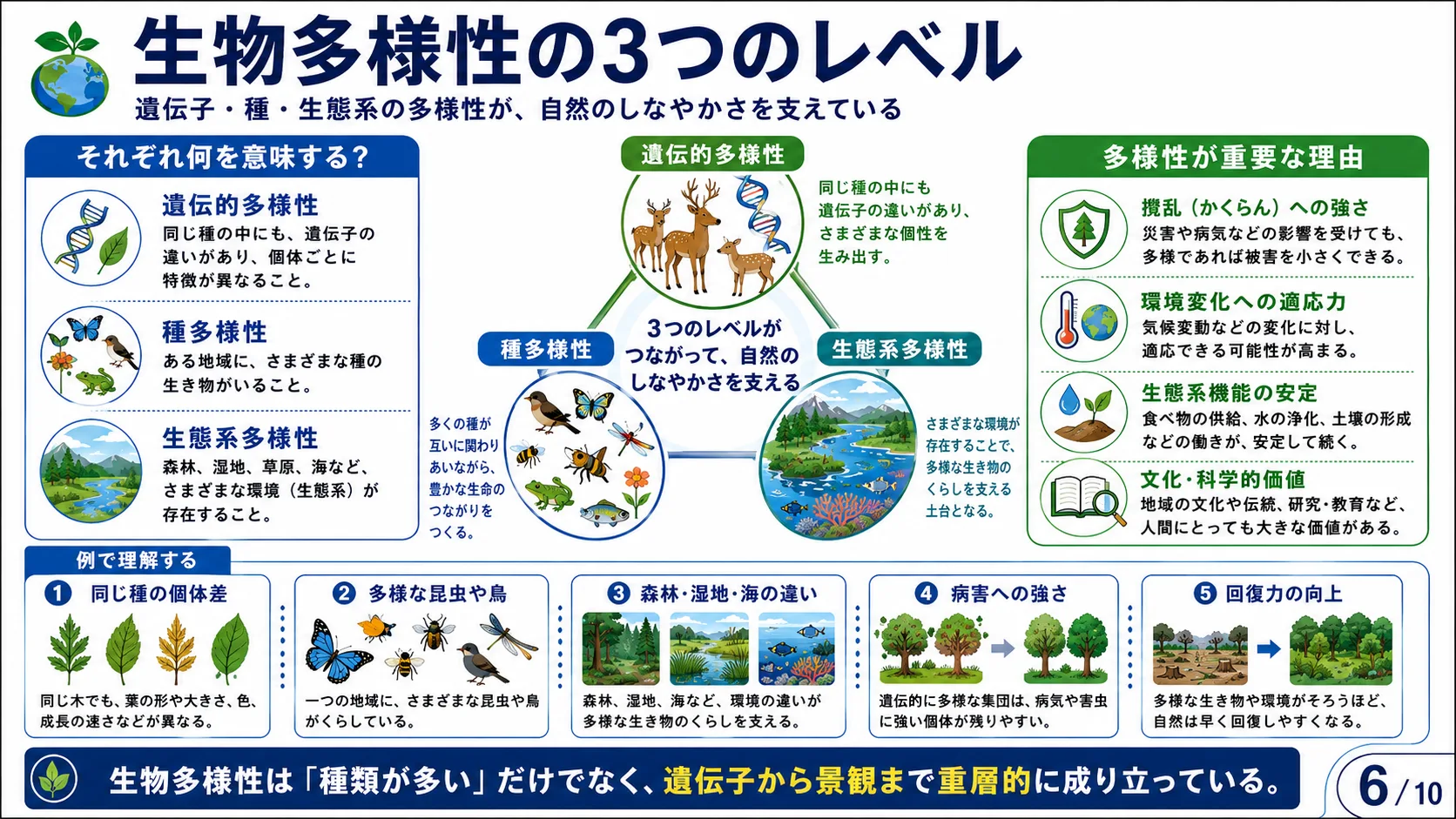 生態系サービス