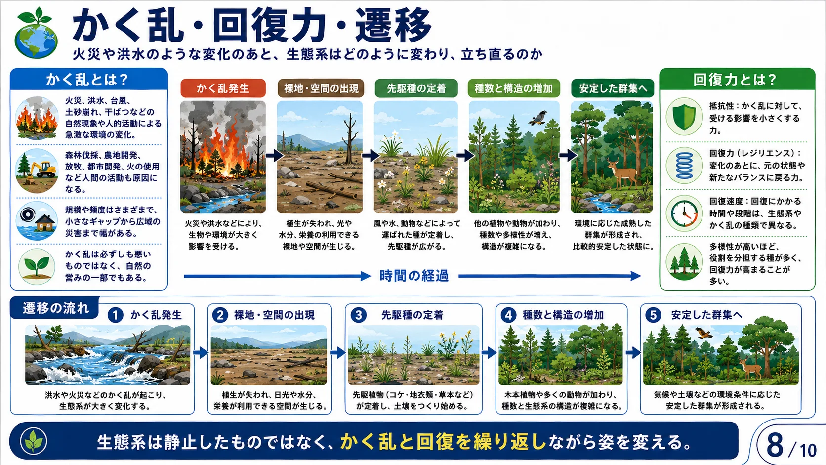 保全生物学と解決策