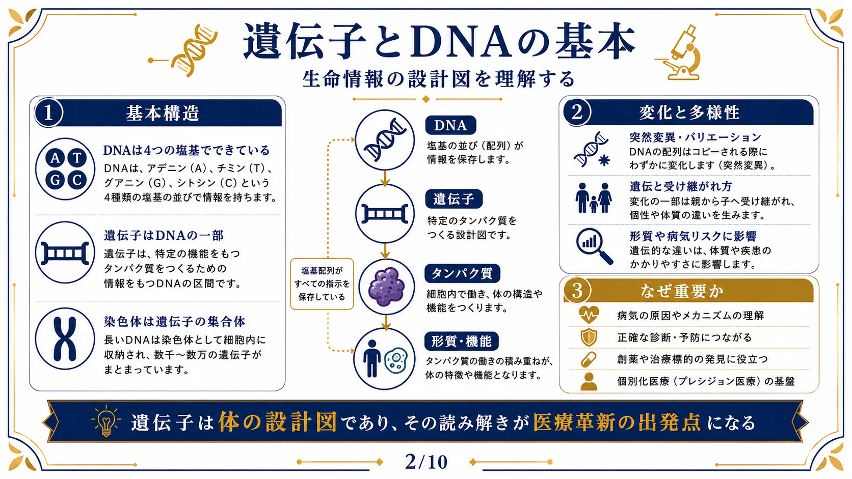 遺伝子とDNAの基本