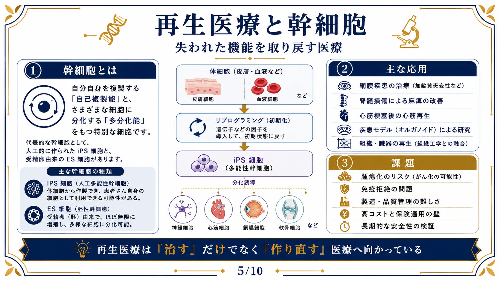 再生医療と幹細胞