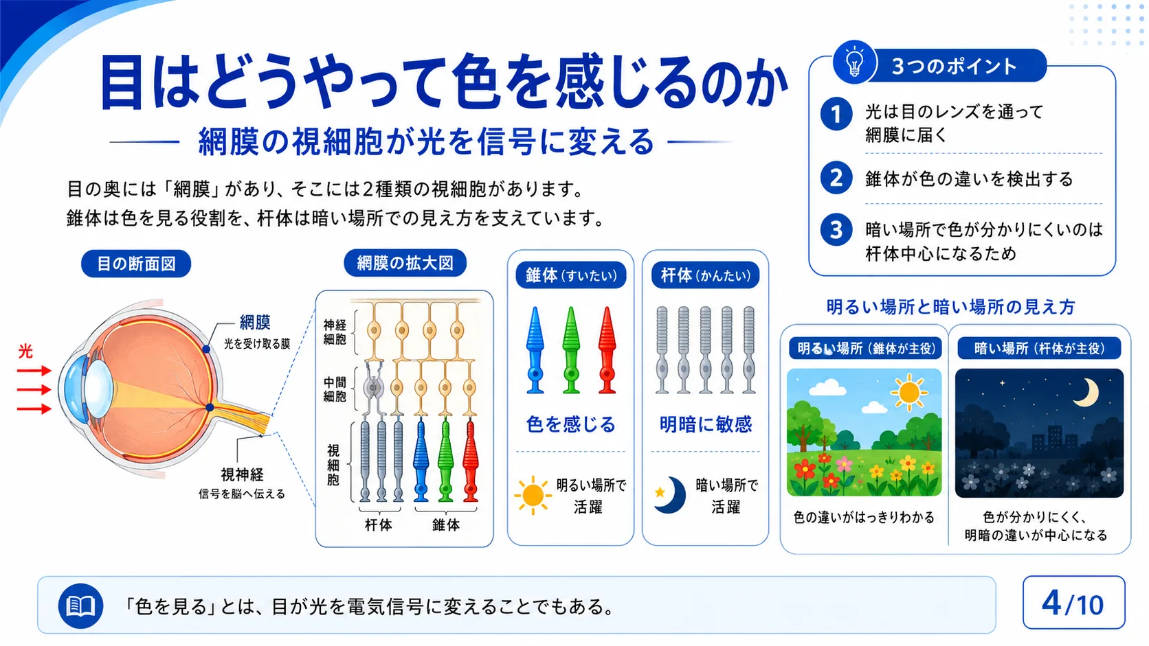 目はどうやって色を感じるのか