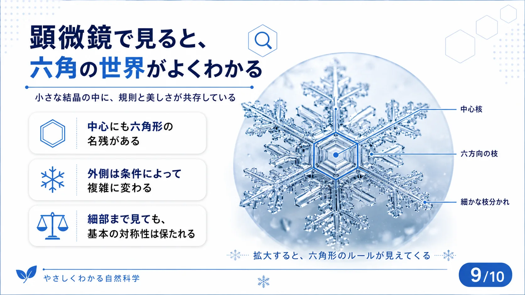 顕微鏡で見ると、六角の世界がよくわかる