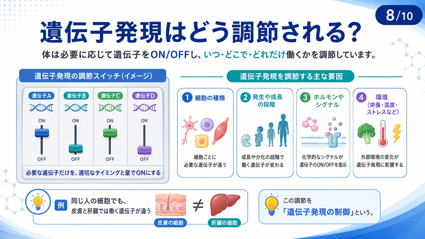 遺伝子発現はどう調節される？