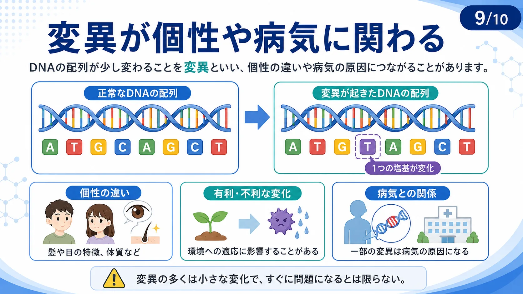 変異が個性や病気に関わる