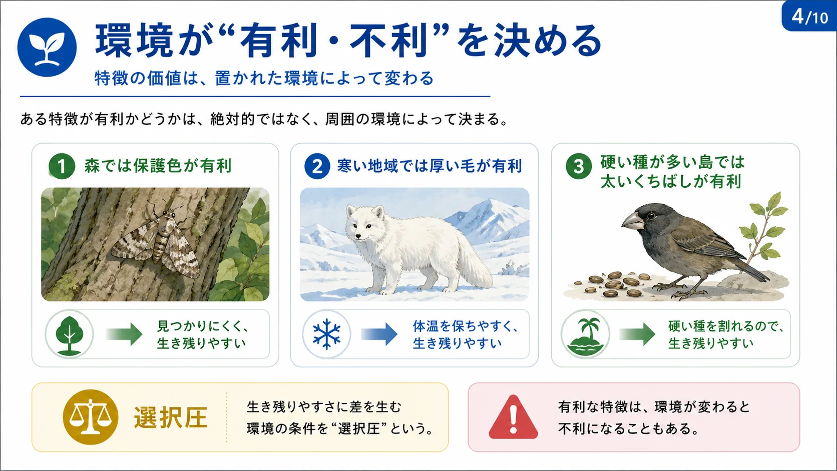 環境が"有利・不利"を決める