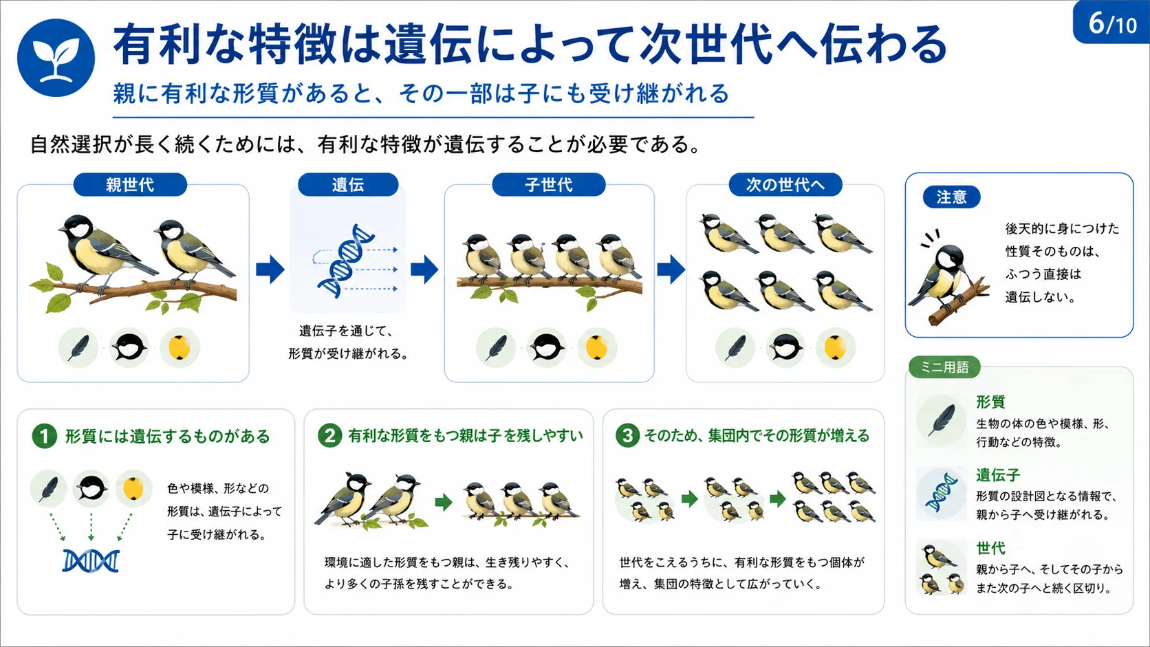 有利な特徴は遺伝によって次世代へ伝わる