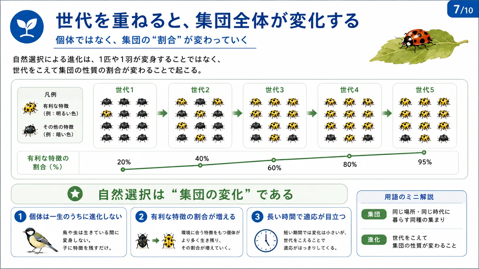 世代を重ねると、集団全体が変化する