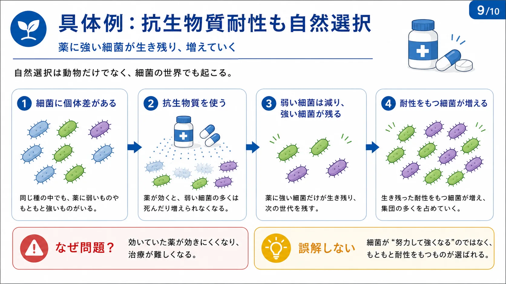 具体例：抗生物質耐性も自然選択