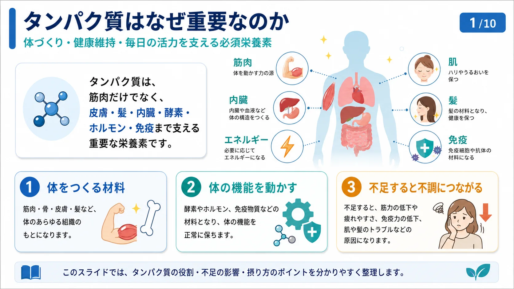 タンパク質はなぜ重要なのか