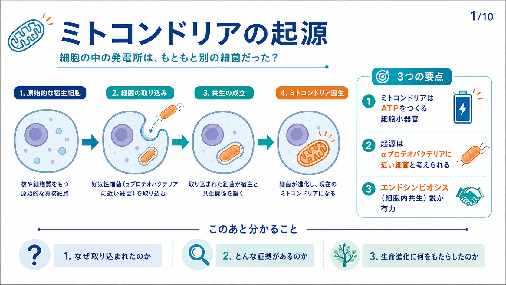 ミトコンドリアの起源