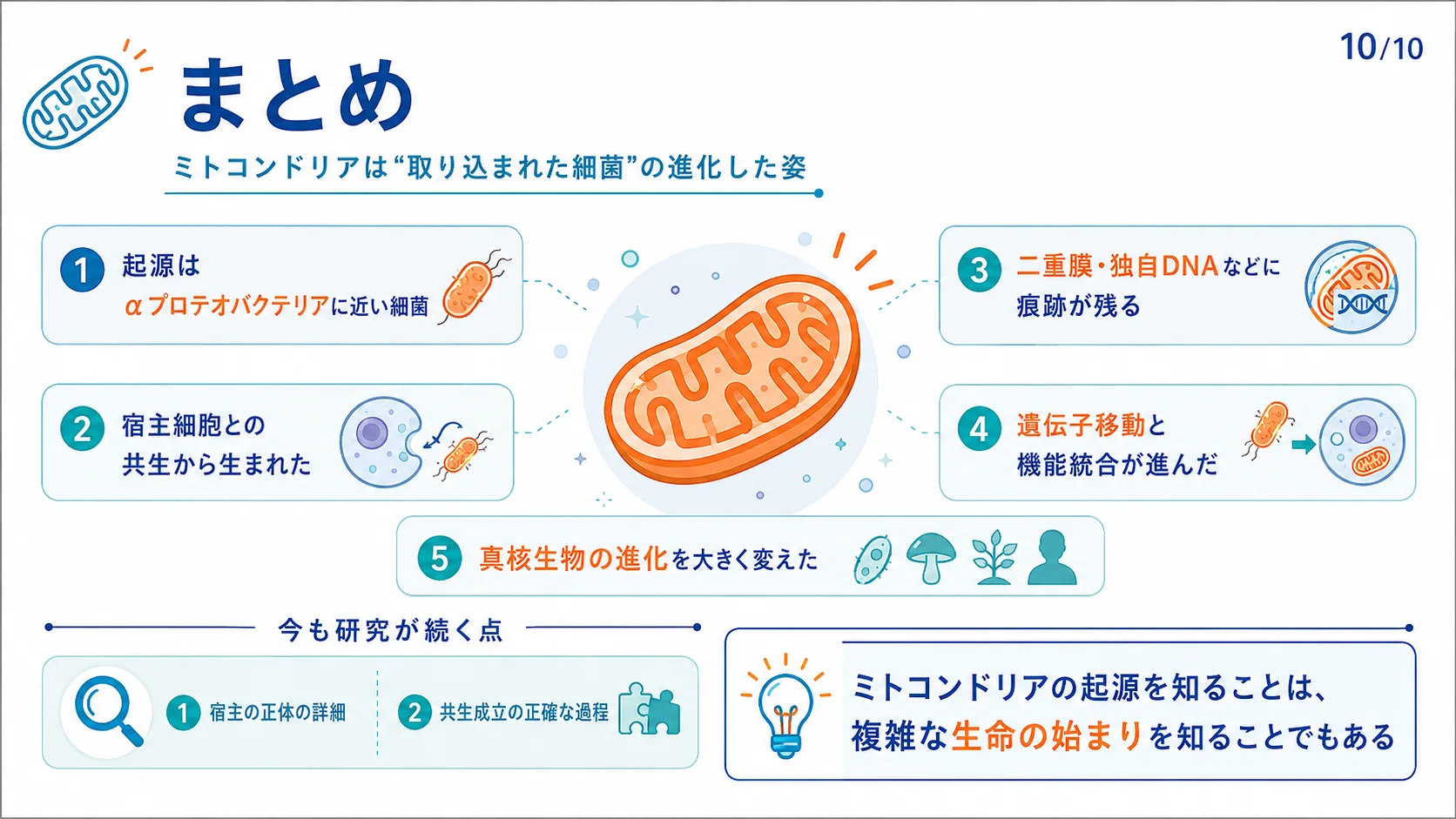 まとめ