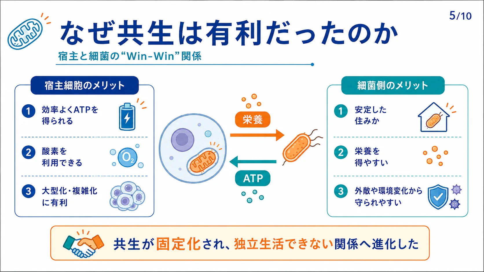 なぜ共生は有利だったのか
