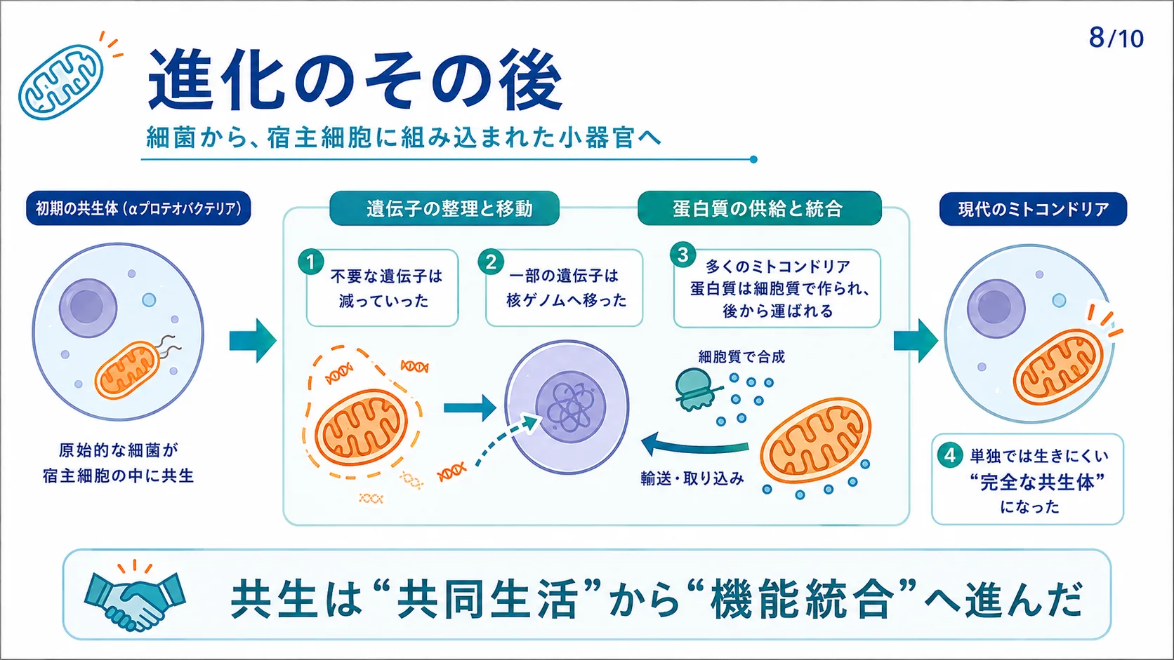 進化のその後