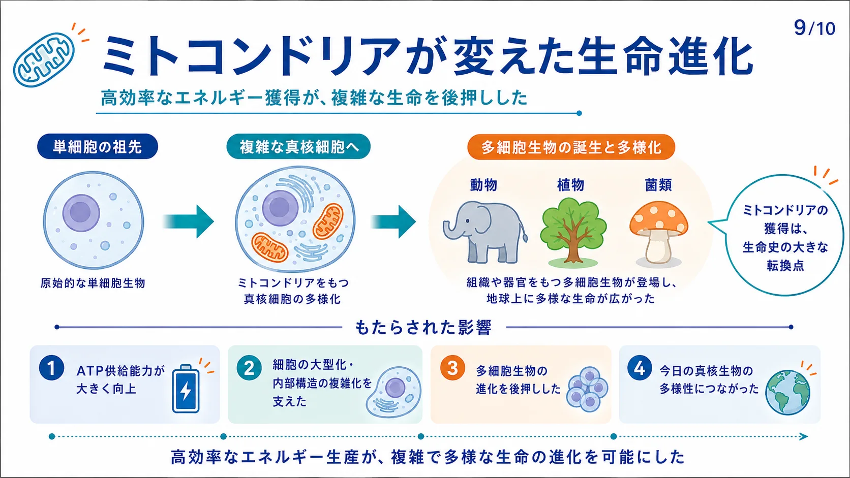 ミトコンドリアが変えた生命進化