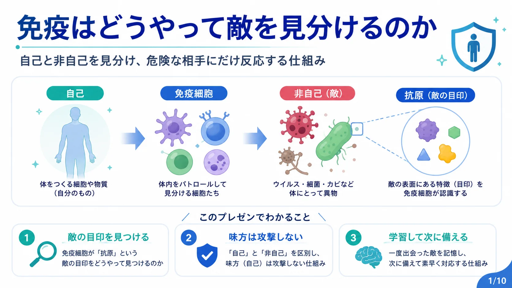 免疫はどうやって敵を見分けるのか