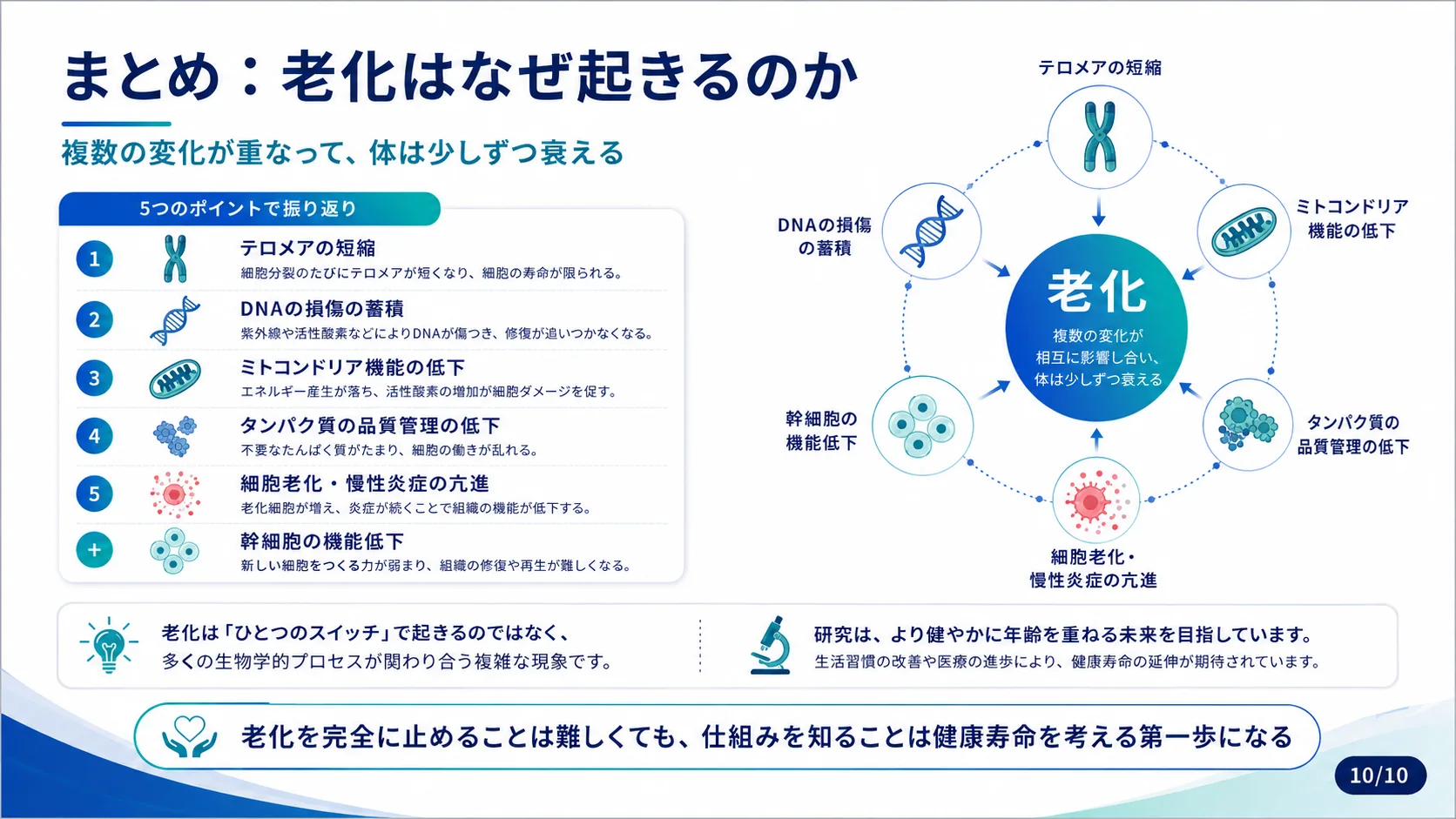 まとめ：老化はなぜ起きるのか