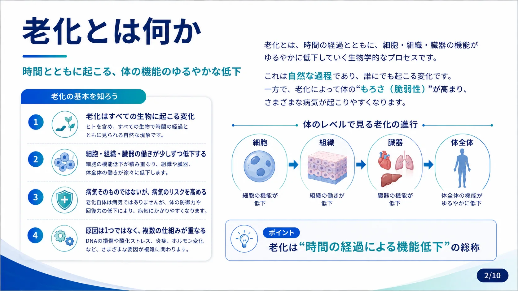 老化とは何か