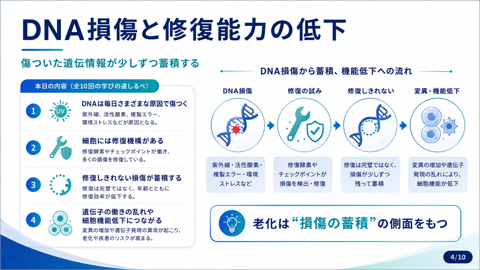 DNA損傷と修復能力の低下