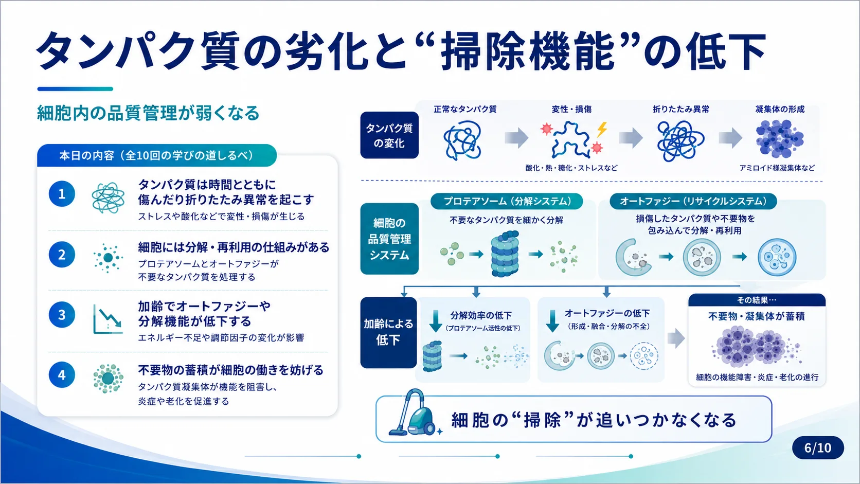 タンパク質の劣化と「掃除機能」の低下