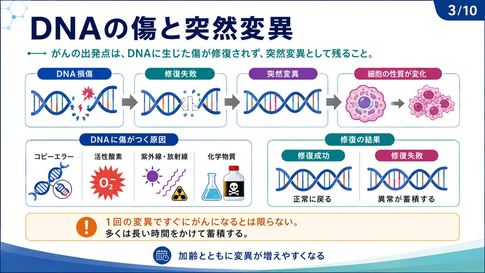 DNAの傷と突然変異