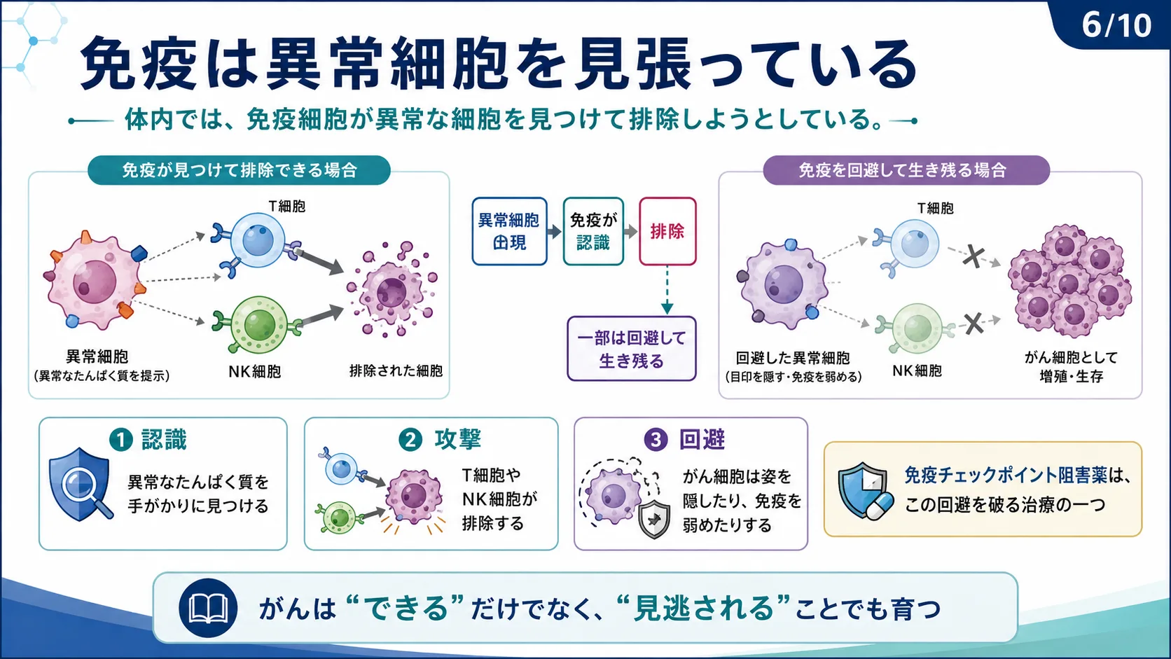 免疫は異常細胞を見張っている