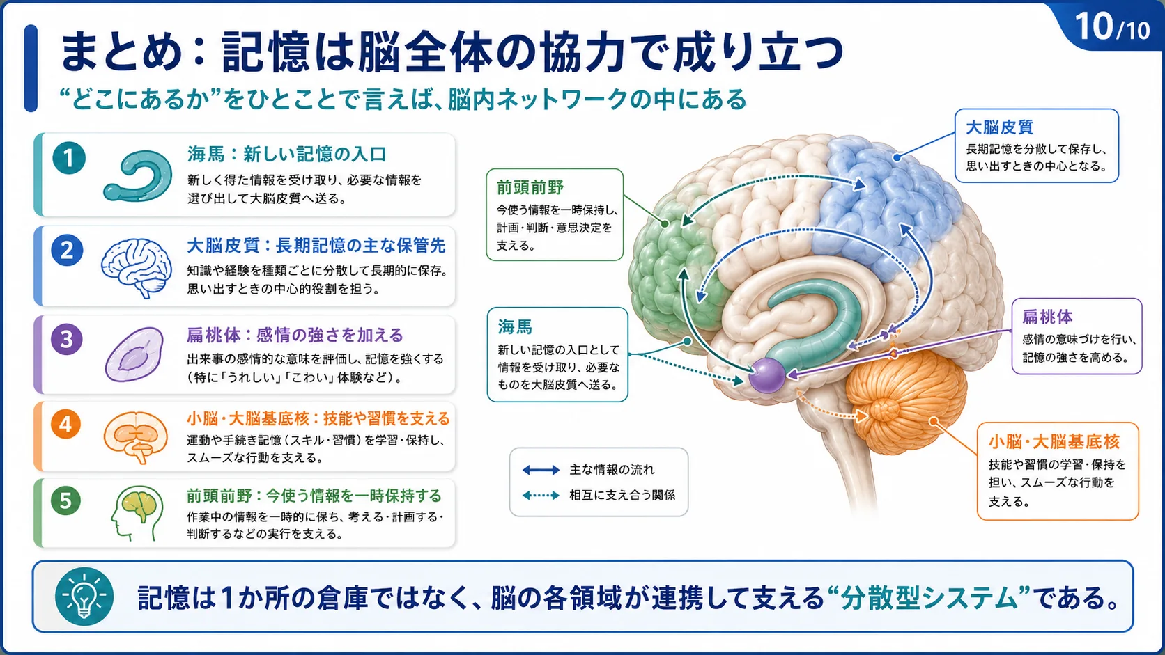 まとめ：記憶は脳全体の協力で成り立つ