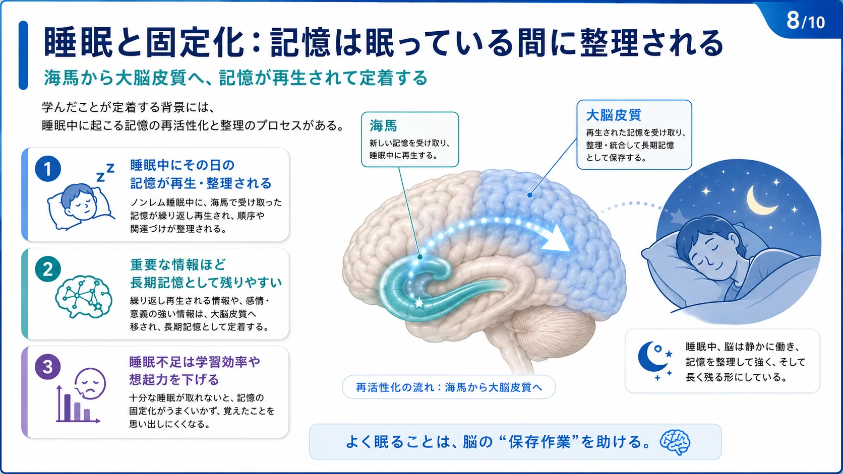 睡眠と固定化：記憶は眠っている間に整理される