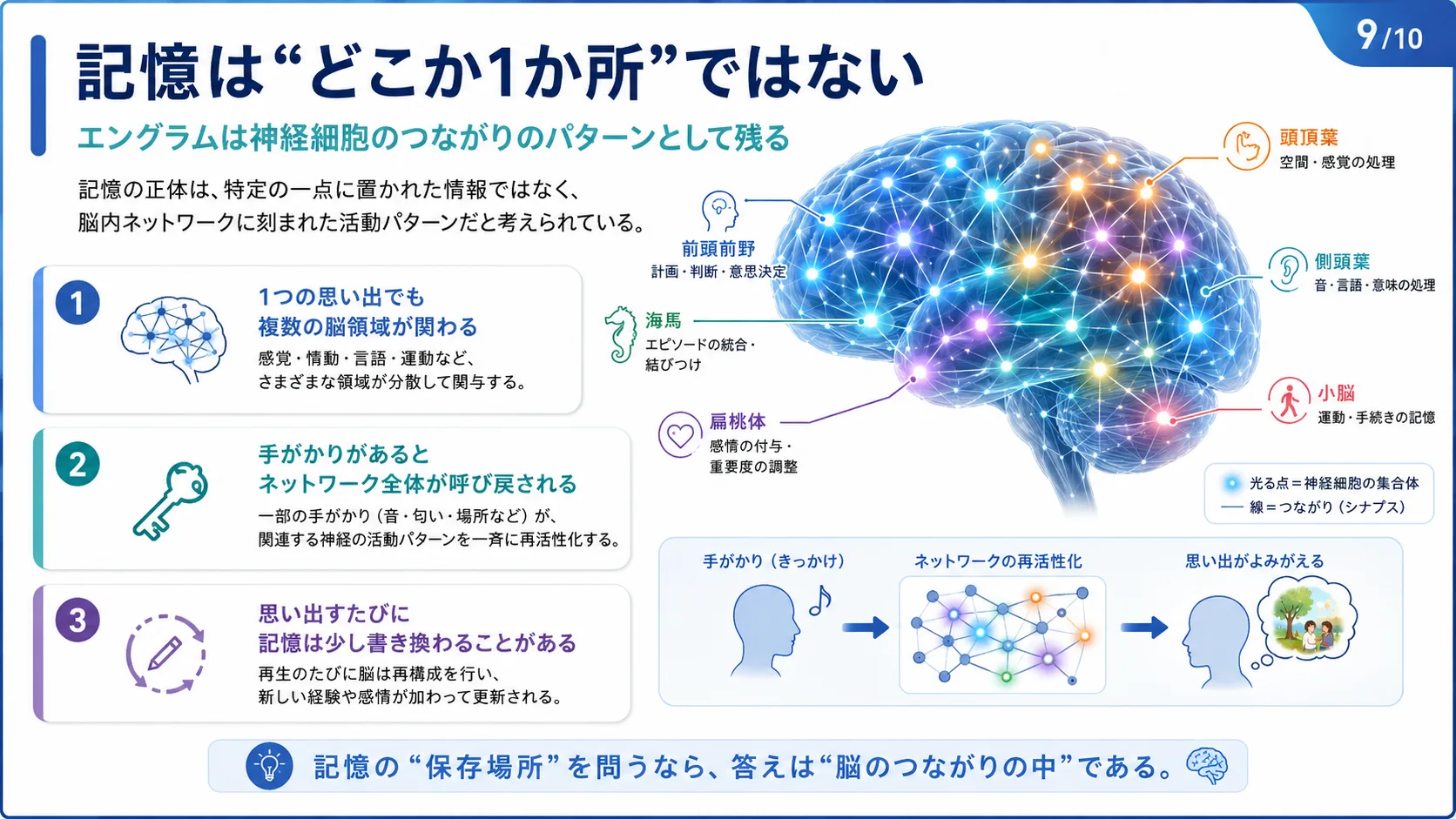 記憶はどこか1か所ではない