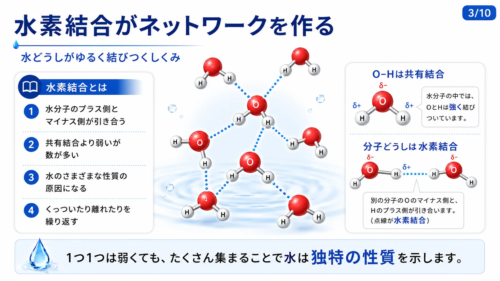 水素結合がネットワークを作る