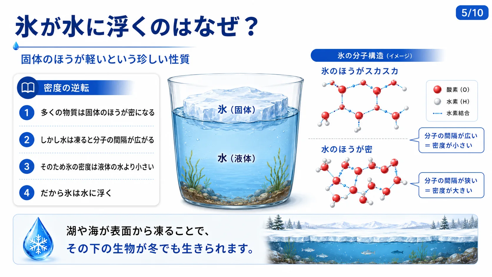 氷が水に浮くのはなぜ？