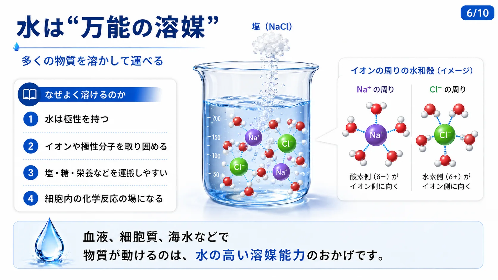 水は「万能の溶媒」