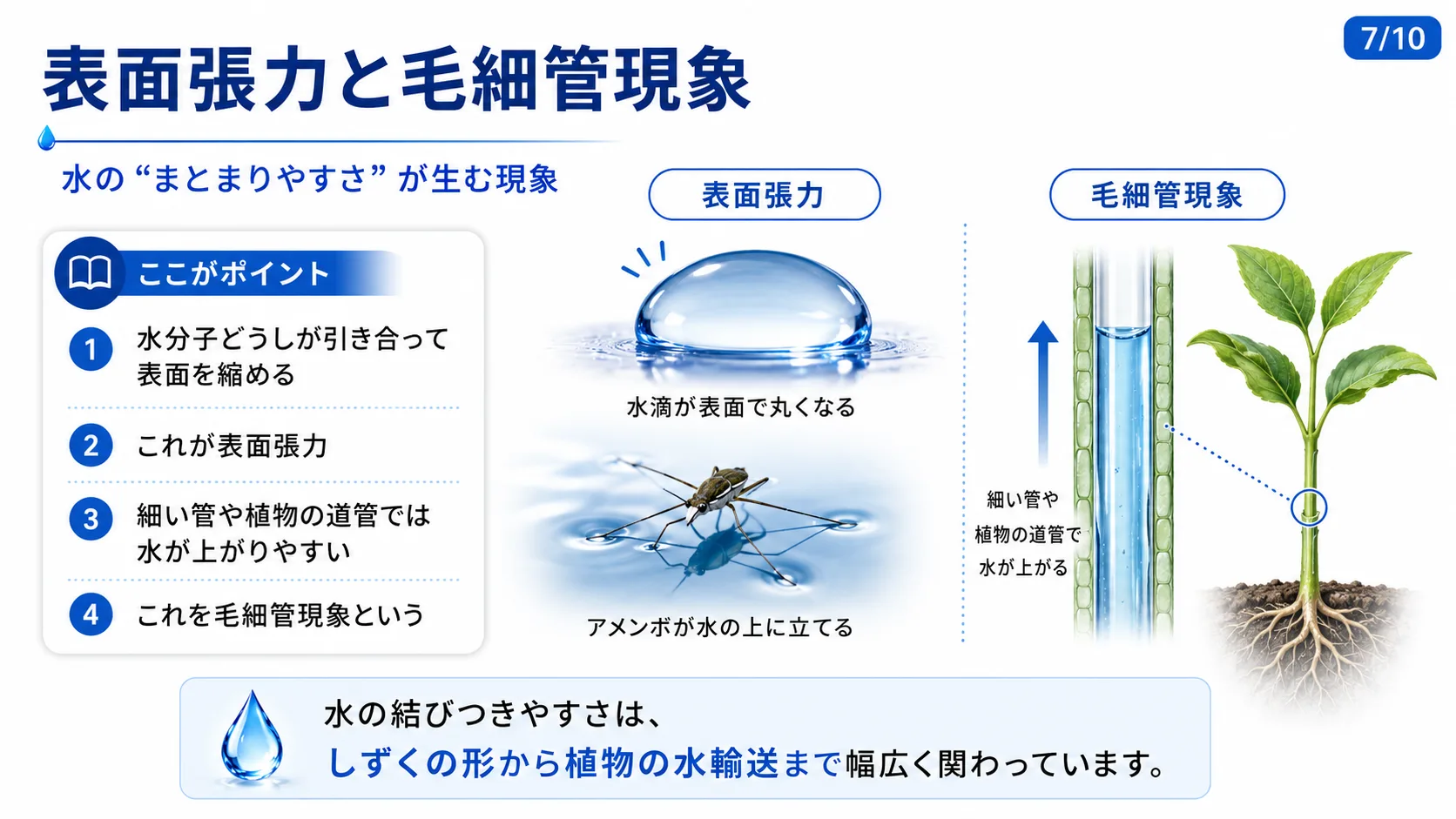 表面張力と毛細管現象
