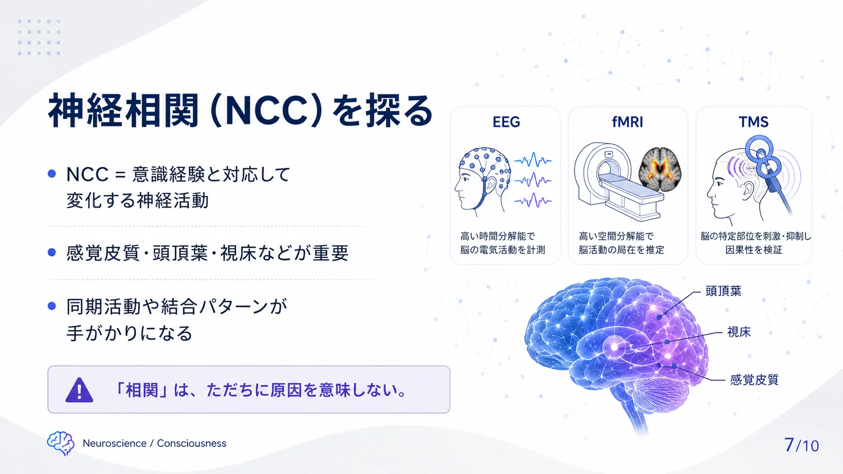 神経相関（NCC）を探る