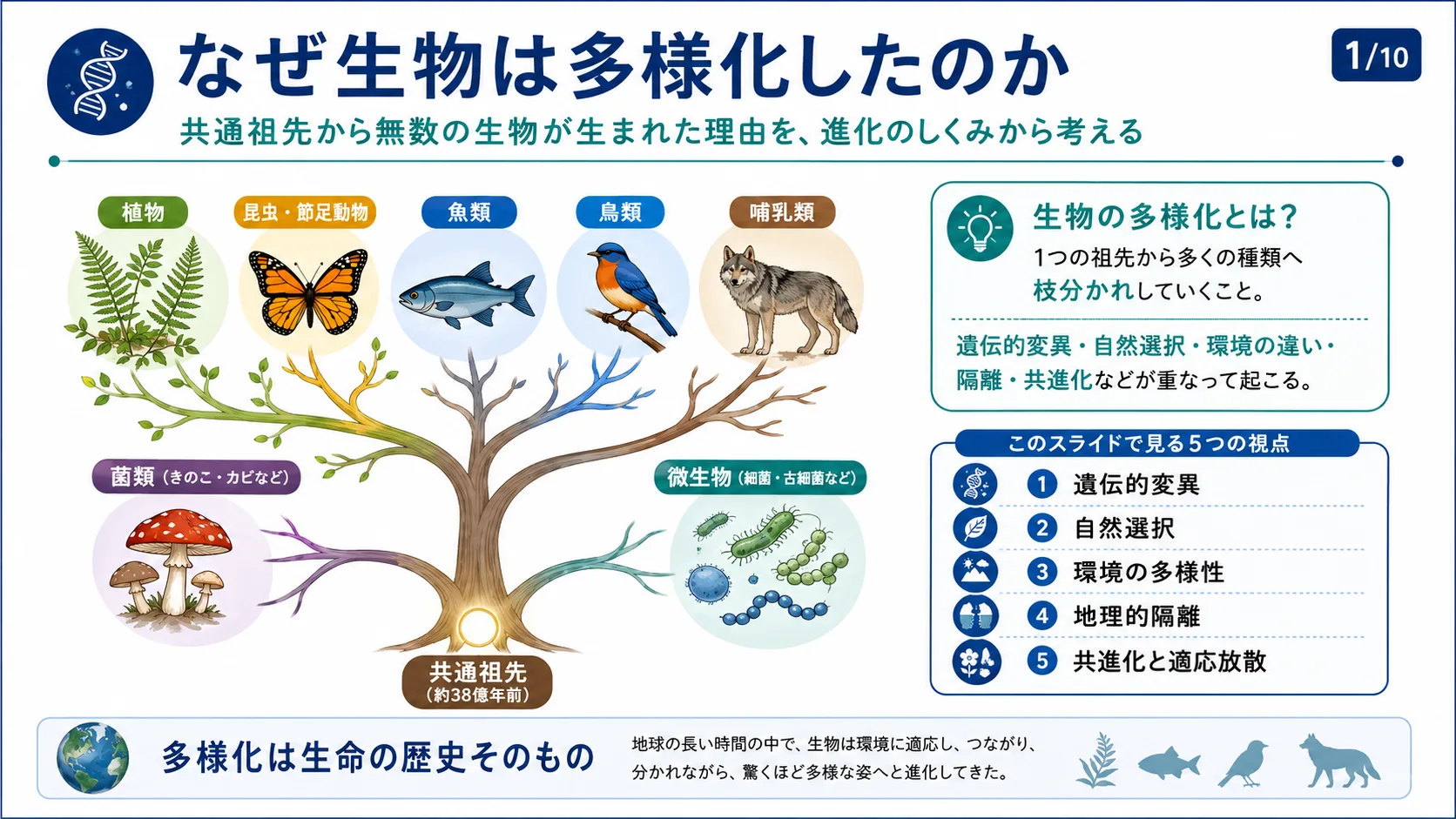 なぜ生物は多様化したのか