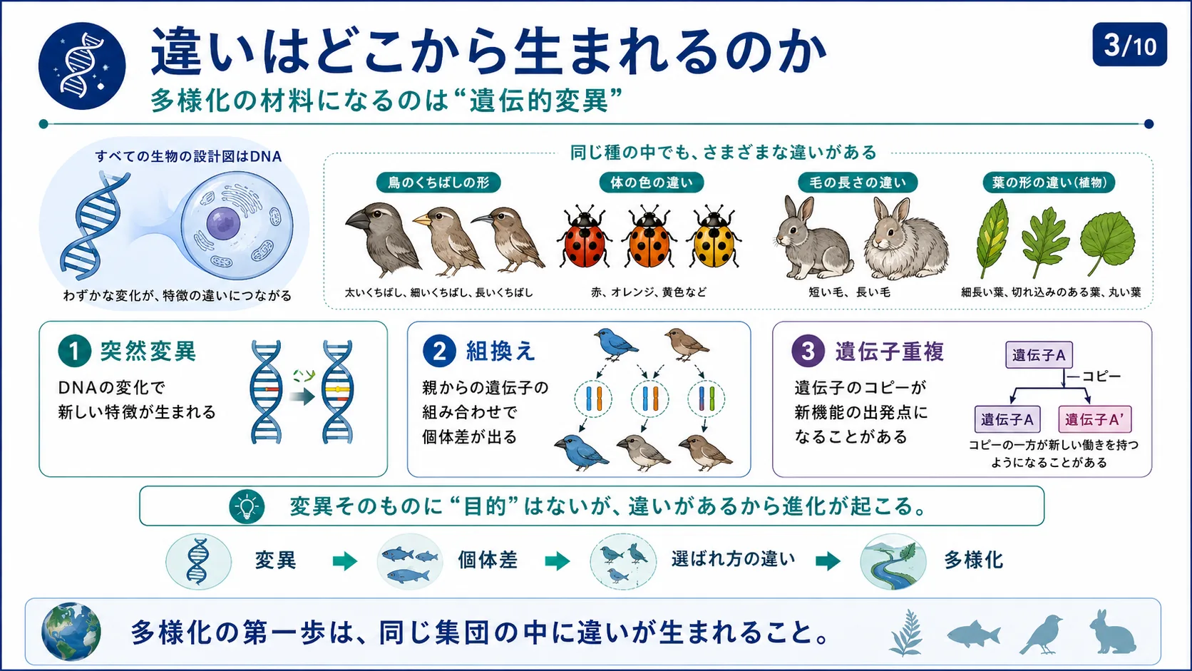 違いはどこから生まれるのか