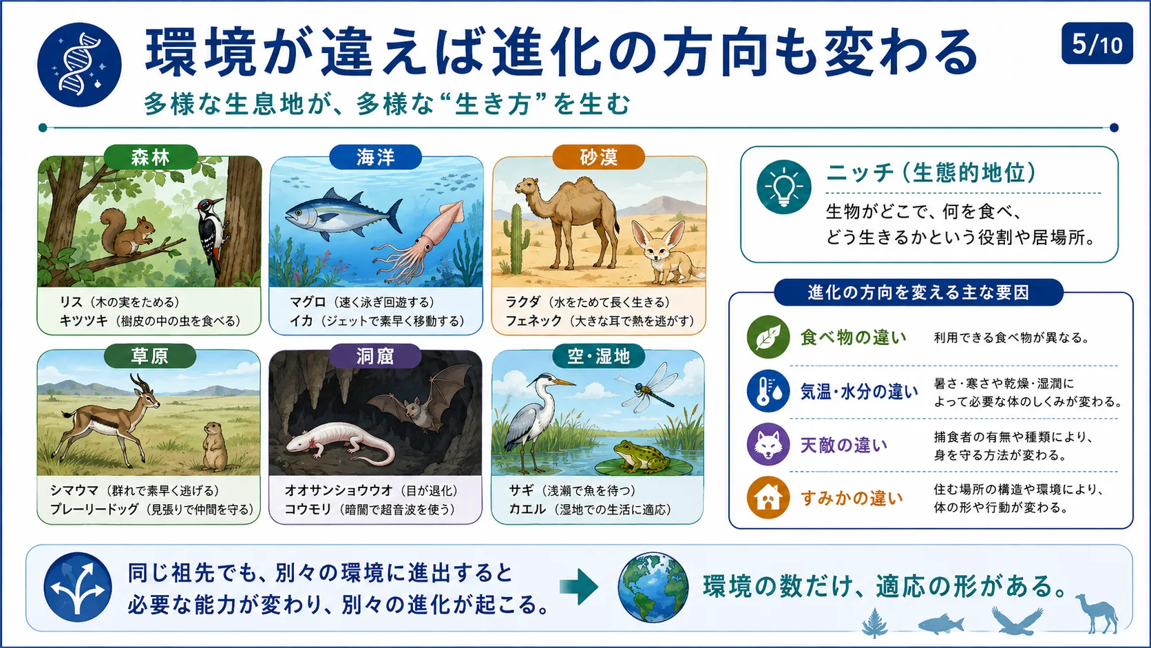 環境が違えば進化の方向も変わる
