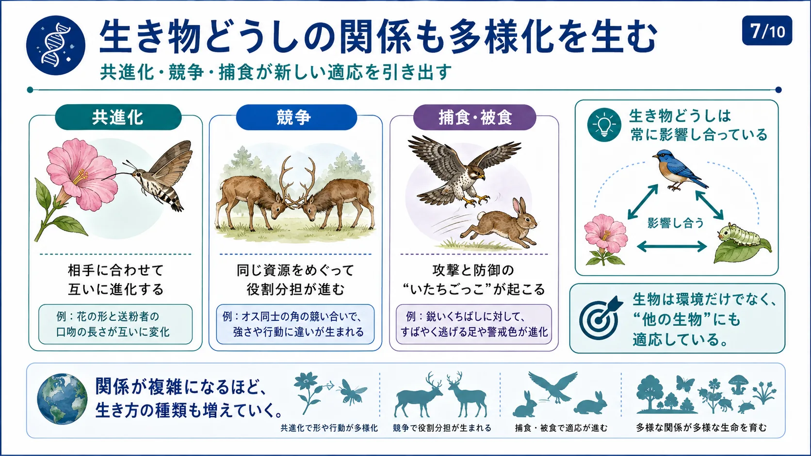 生き物どうしの関係も多様化を生む